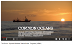 The Common Oceans ABNJ Program - an introduction 